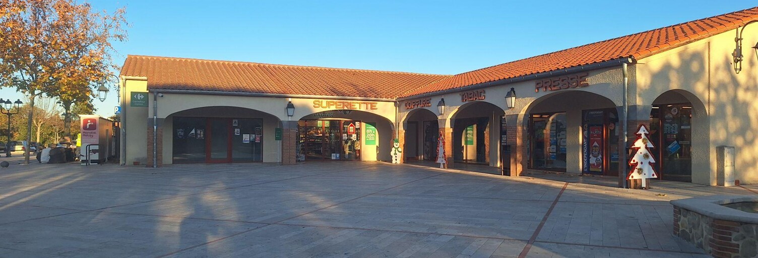 Commerce  87 m² à vendre à Saint-Jean-Pla-de-Corts (66490)