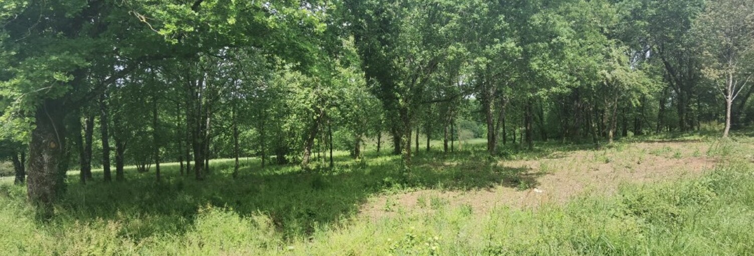 Terrain  832 m² à vendre à Léognan (33850)