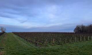 Terrain 551 m² à construire Montussan (33450)