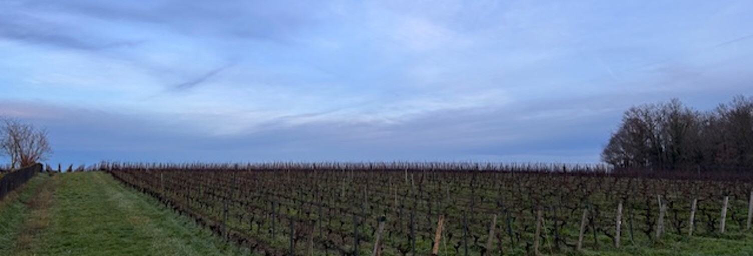 Terrain 551 m² à construire Montussan (33450)