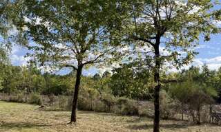 Terrain 550 m² à construire Margaux-Cantenac (33460)