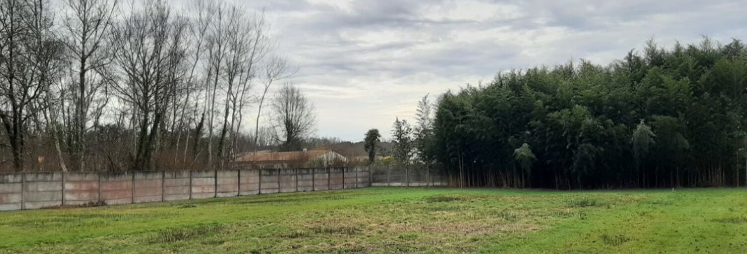 Terrain 1352 m² à construire Blanquefort (33290)