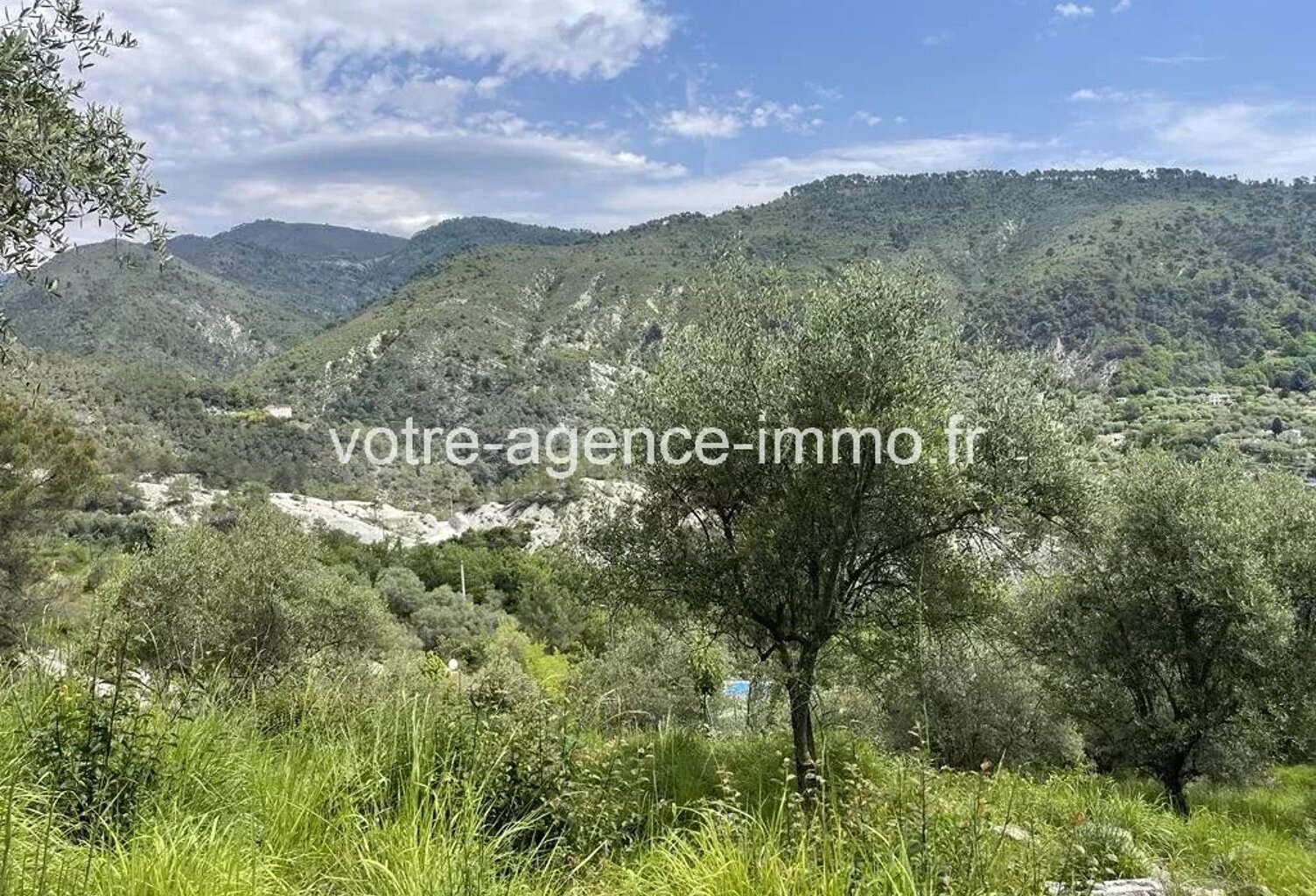 Terrain de loisirs 3220m2 - Coaraze — photo 1