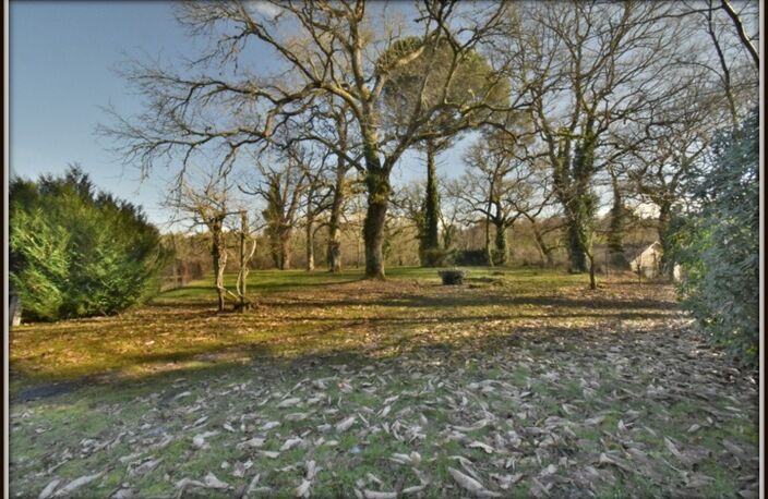 PROCHE DAX ( Mi-Chemin entre Dax & Mont de Marsan ) - MAGNIFIQUE VILLA LANDAISE de 266 m2 - 7 CHAMBRES — photo 2