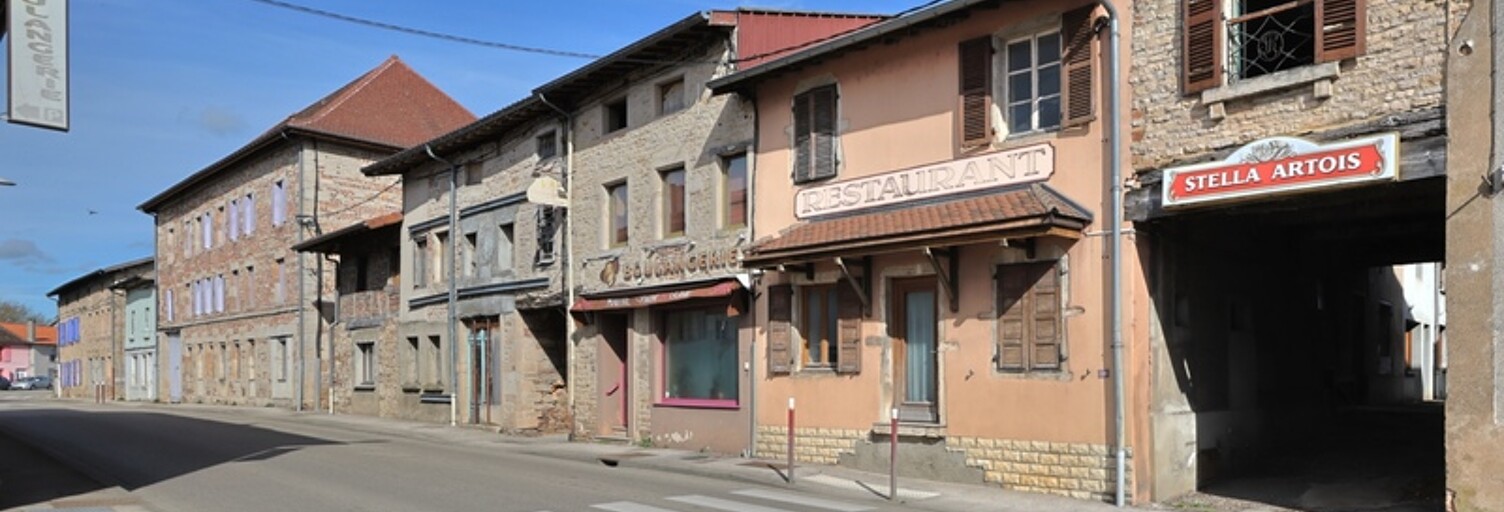 Maison 8 Pièces 373 m² à vendre à Montrevel-en-Bresse (01340)