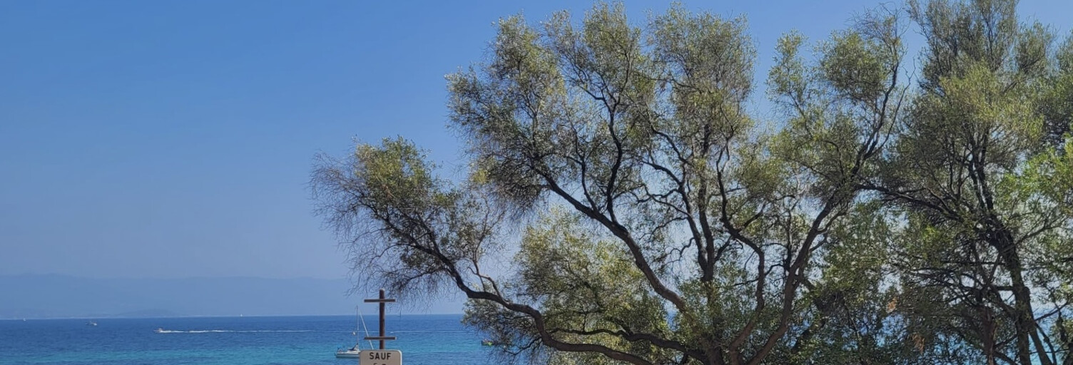 Commerce  46 m² à vendre à Ajaccio (20000)