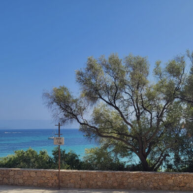 Commerce  125000 €