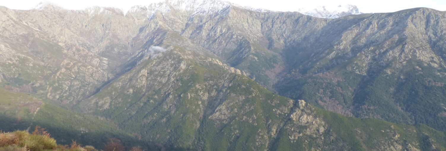 Terrain  600000 m² à vendre à Letia (20160)