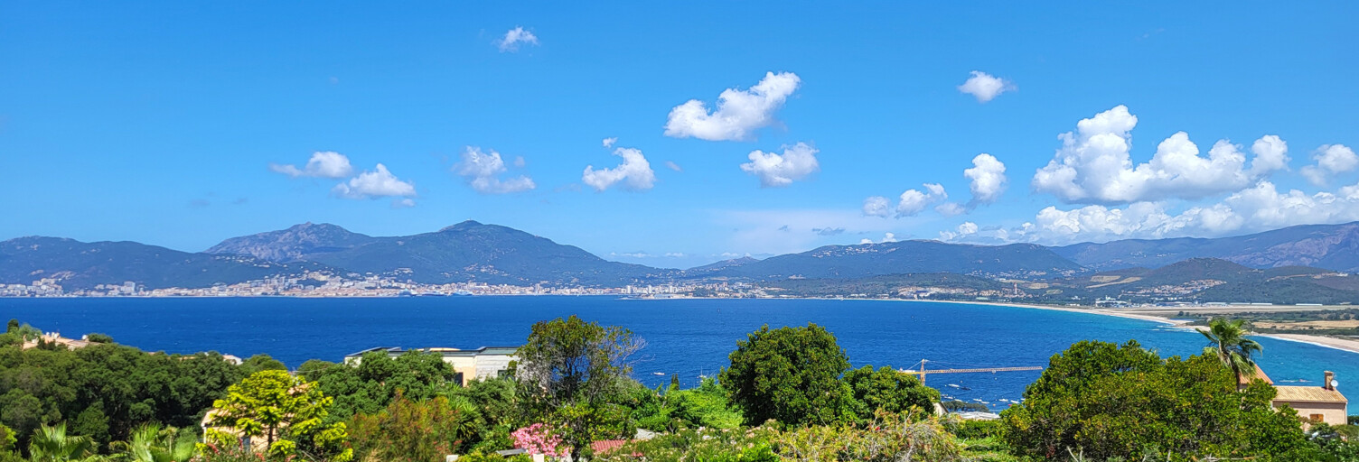 Maison 5 Pièces 215 m² à vendre à Albitreccia (20166)