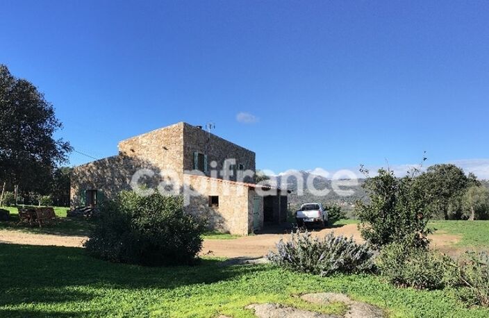 EXCLUSIVITE : Proche de L'ILE ROUSSE, Plaine du Reginu, propriété en pierre T5 161 m² sur 1.96 ha de terrain — photo 2