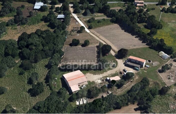 EXCLUSIVITE : Proche de L'ILE ROUSSE, Plaine du Reginu, propriété en pierre T5 161 m² sur 1.96 ha de terrain — photo 3