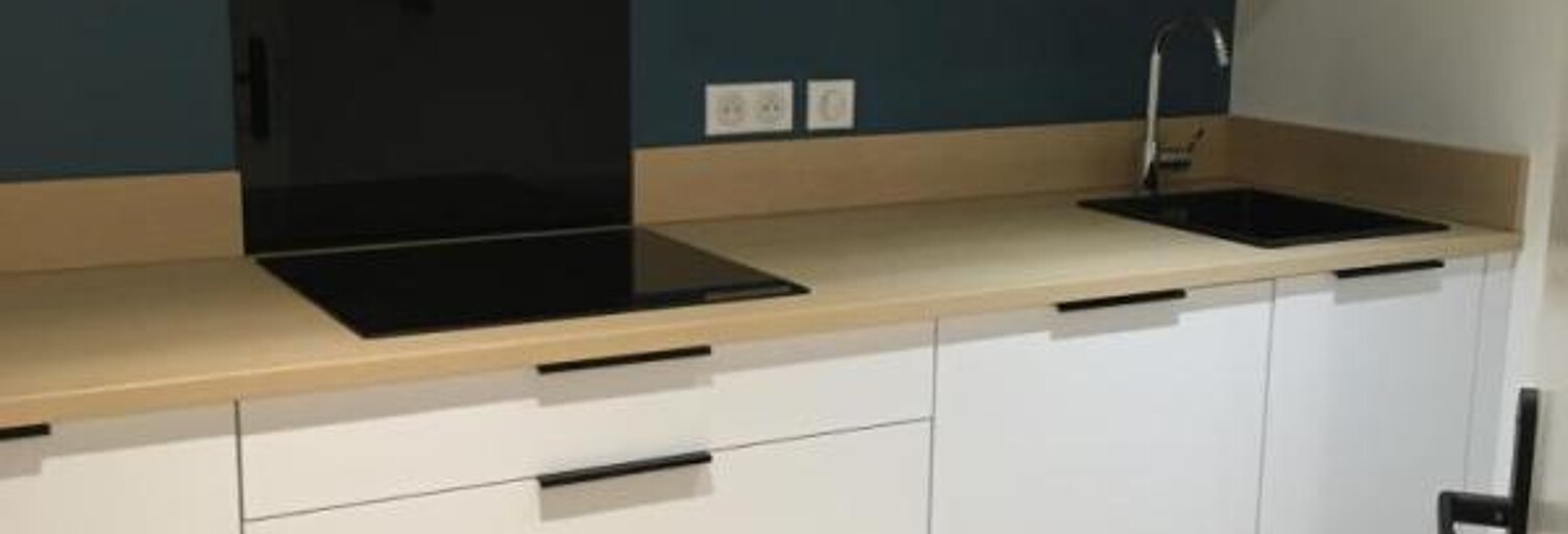 Appartement 1 Pièce 28 m² à louer à Nantes (44000)