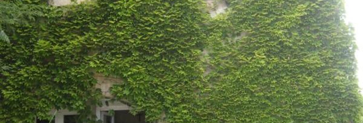 Appartement 3 Pièces 75 m² à louer à Saint-Aunès (34130)