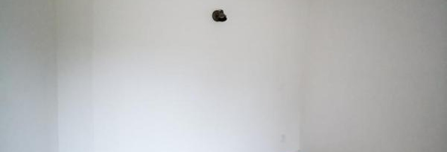 Appartement 2 Pièces 46 m² à louer à Montgeron (91230)