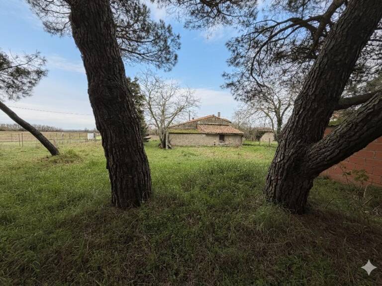Maison À Vendre — photo 1