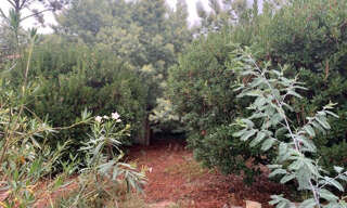 Maison 4 Pièces 90 m² à vendre à Arcachon (33120)