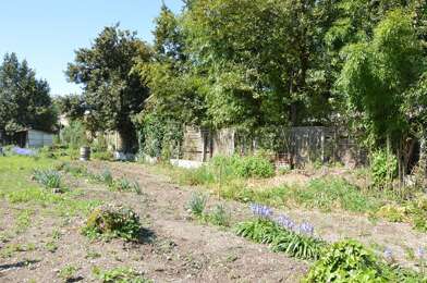 Terrain  340000 €