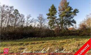 Terrain  2640 m² à vendre à Billy (41130)