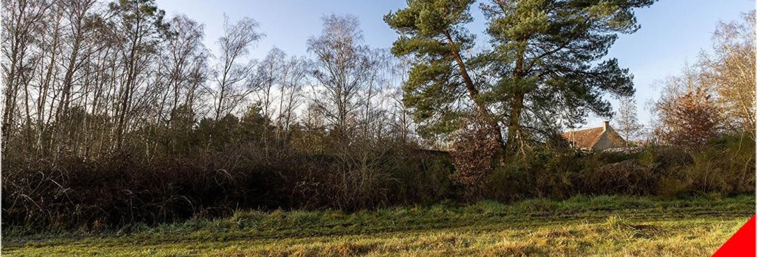 Terrain  2640 m² à vendre à Billy (41130)