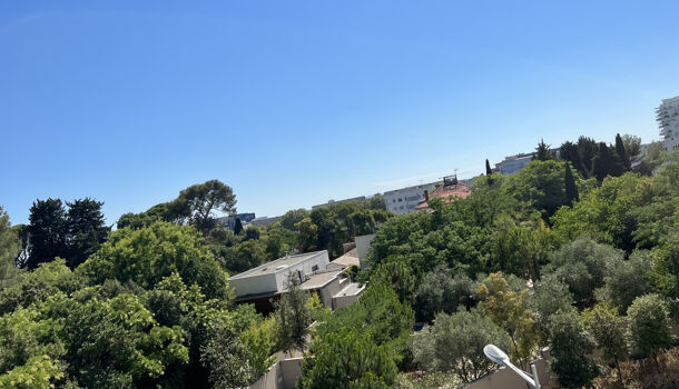 Appartement 3 pièces  à vendre Montpellier 34000