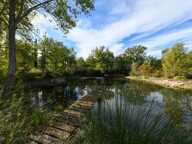 Propriété en pierre proche Barjac dans un environnement naturel — photo 3