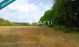 Terrain  60000 m² à vendre à Saugon (33920)