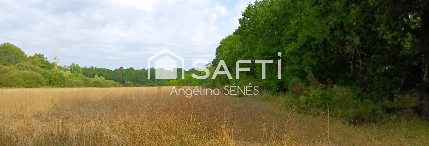 Terrain  60000 m² à vendre à Saugon (33920)