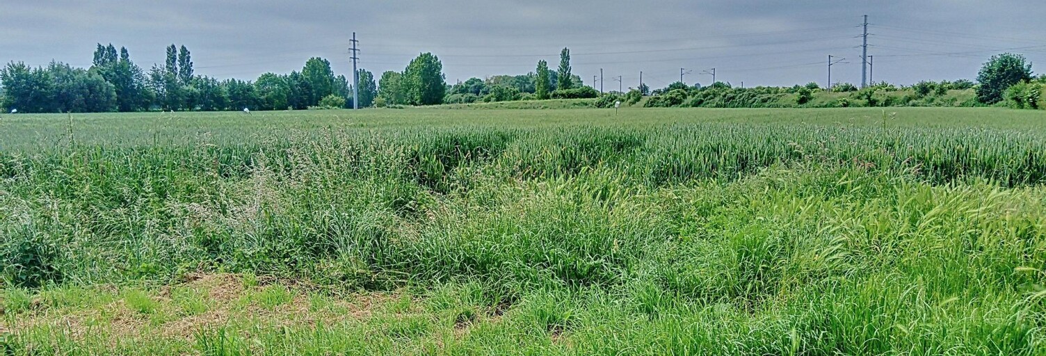 Terrain  985 m² à vendre à Aire-sur-la-Lys (62120)