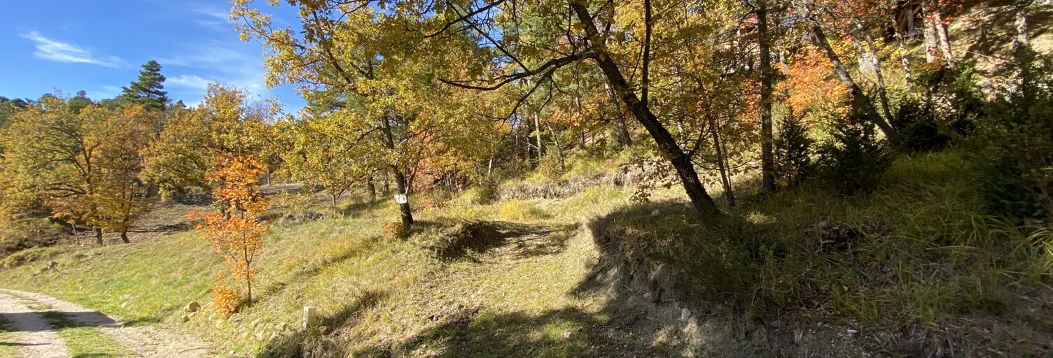 Terrain  1000 m² à vendre à Andon (06750)