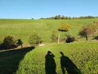 Ferme — photo 2