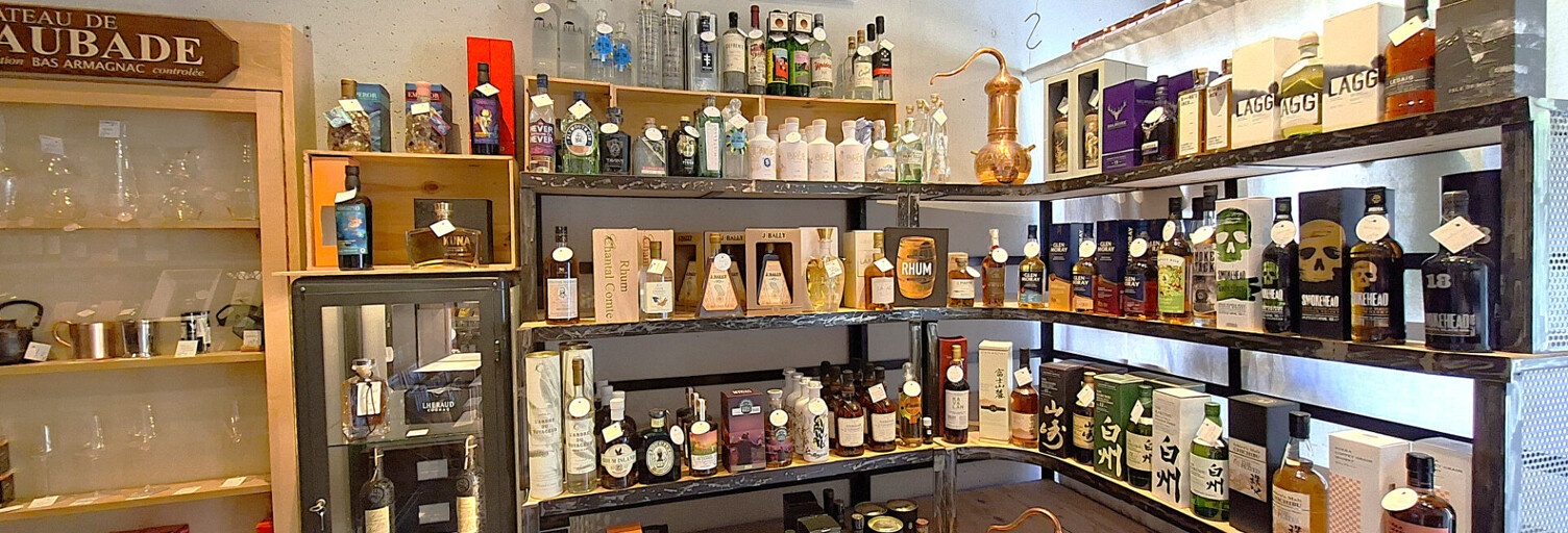 Commerce 2 Pièces 76 m² à vendre à Villeneuve-lès-Avignon (30400)