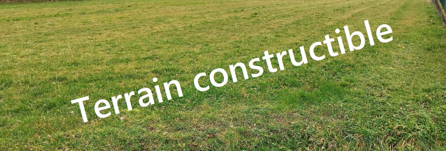 Terrain  2000 m² à vendre à Ozillac (17500)