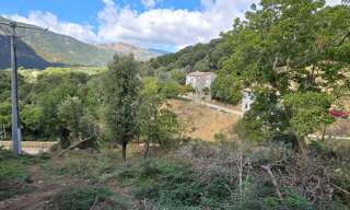 Terrain  3095 m² à vendre à Olmiccia (20112)