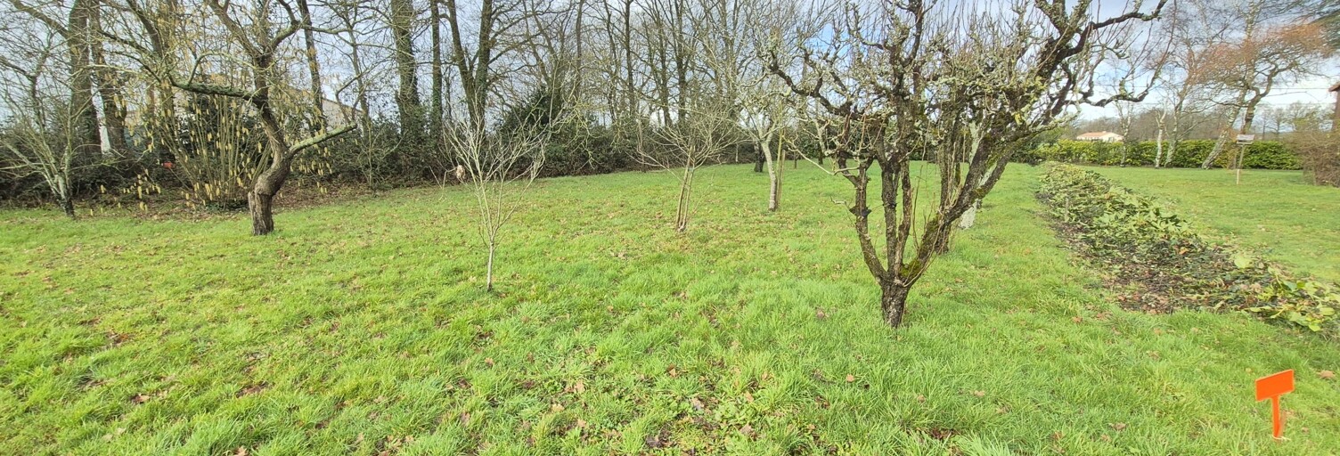 Terrain  645 m² à vendre à Bellevigny (85170)