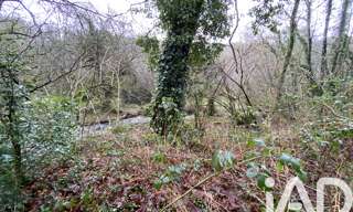 Terrain  34801 m² à vendre à Lannéanou (29640)