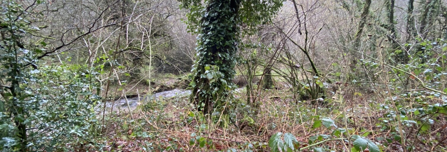 Terrain  34801 m² à vendre à Lannéanou (29640)