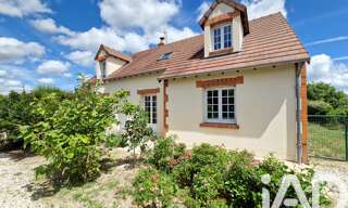 Maison 8 Pièces 164 m² à vendre à Sully-sur-Loire (45600)