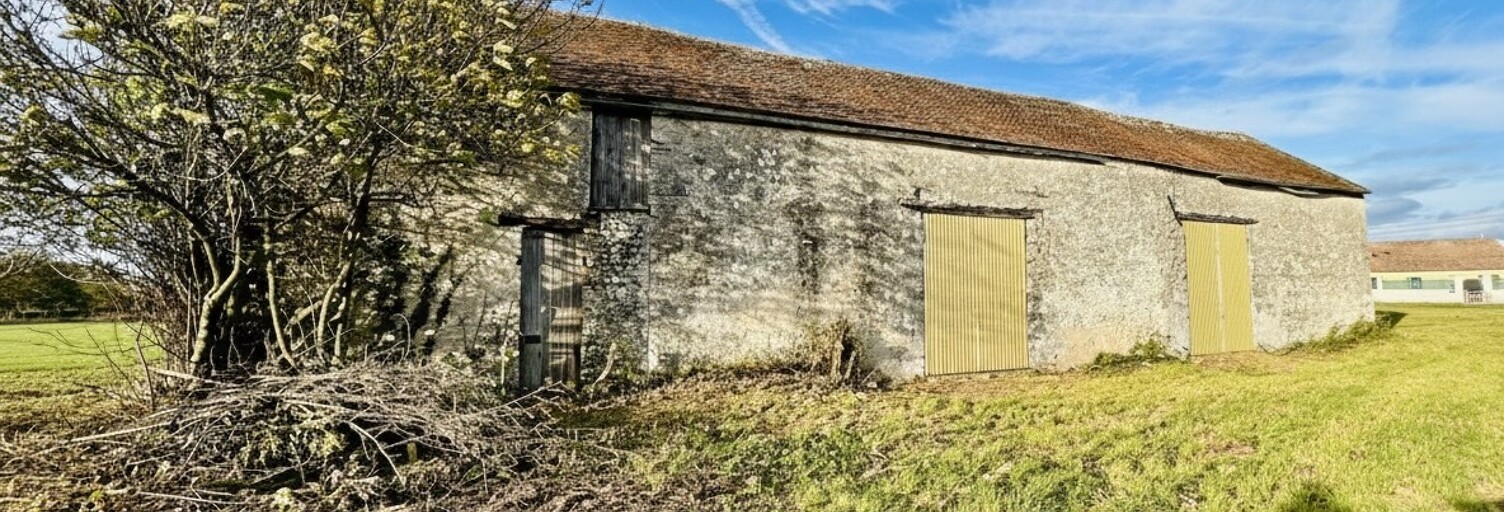 Maison 1 Pièce 187 m² à vendre à Chaintreaux (77460)