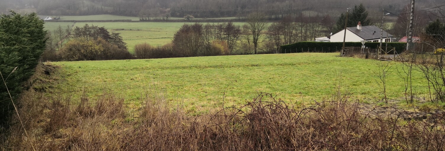 Terrain  693 m² à vendre à Saint-Sernin-du-Bois (71200)