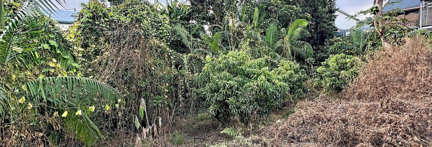 Terrain  1230 m² à vendre à Le Tampon (97430)