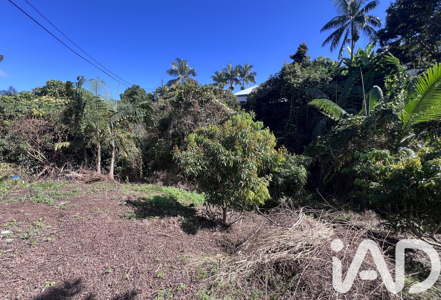 Vente Terrain à bâtir 1 230 m&sup2; — photo 1