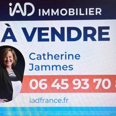 Commerce  258000 €