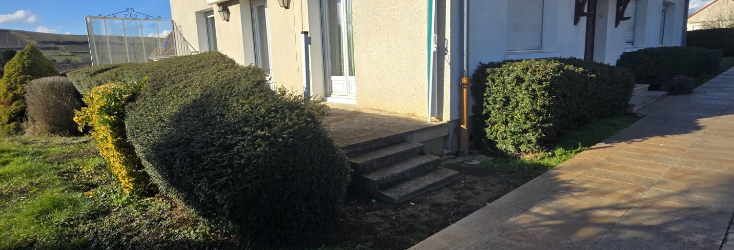 Maison 10 Pièces 210 m² à vendre à Passy-Grigny (51700)