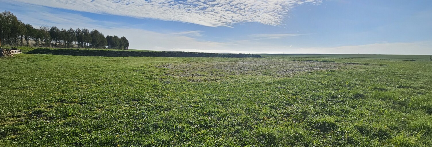 Terrain  1190 m² à vendre à Souain-Perthes-lès-Hurlus (51600)