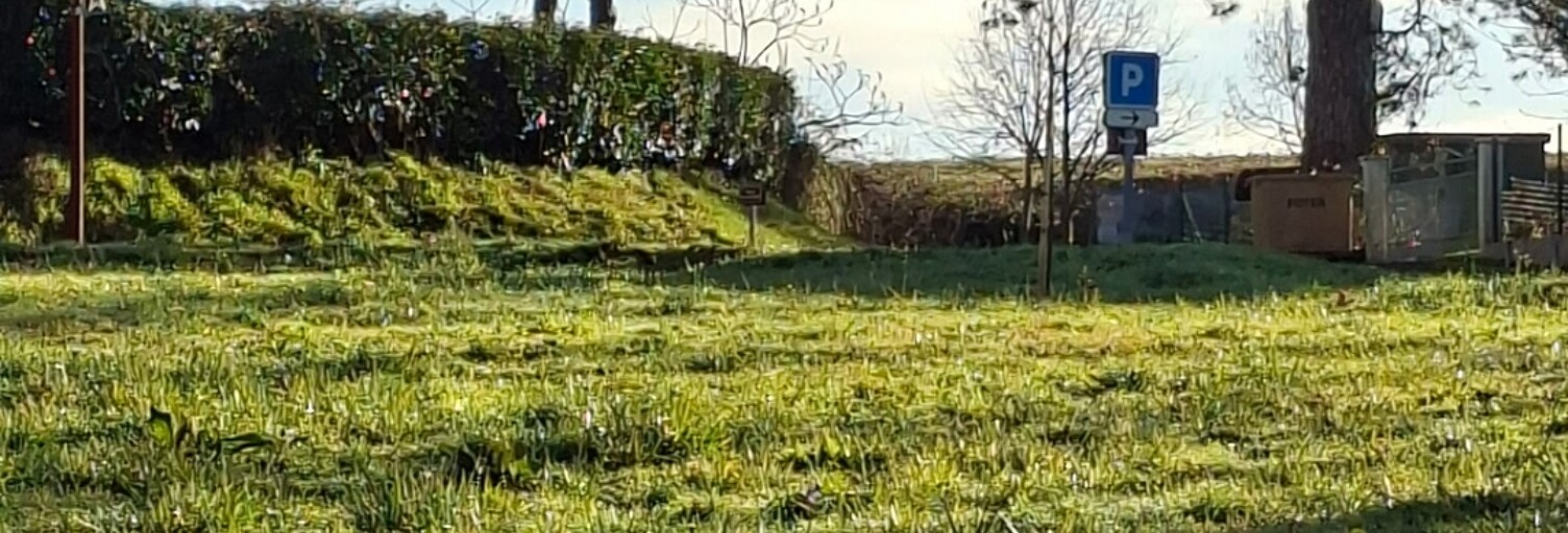 Terrain  1395 m² à vendre à Bernède (32400)