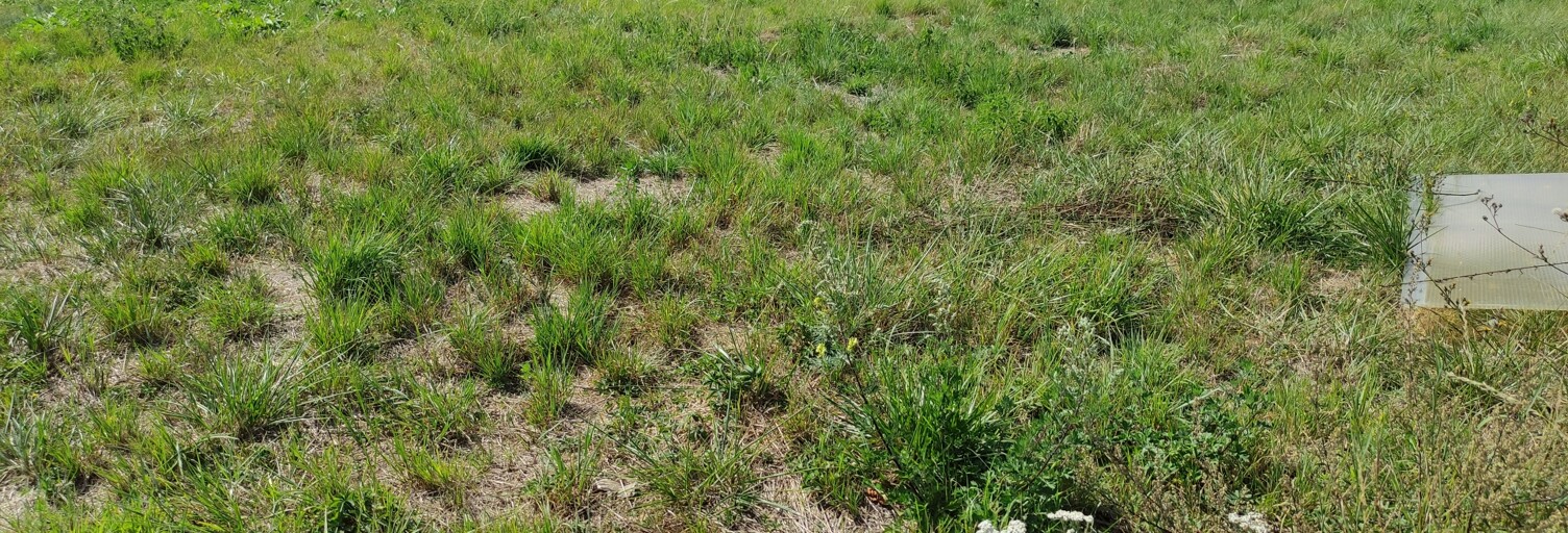 Terrain  640 m² à vendre à Suippes (51600)