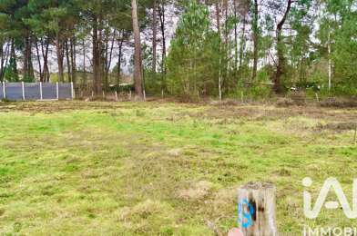 Terrain  59000 €