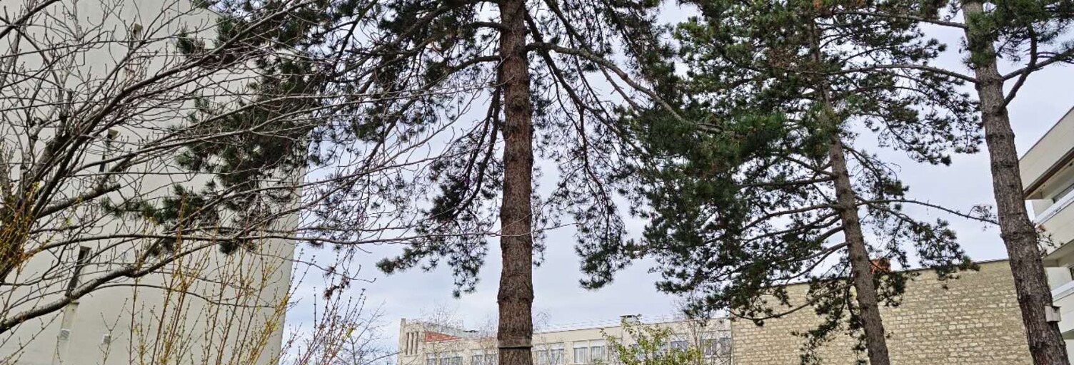 Appartement 4 Pièces 78 m² à vendre à Joinville-le-Pont (94340)