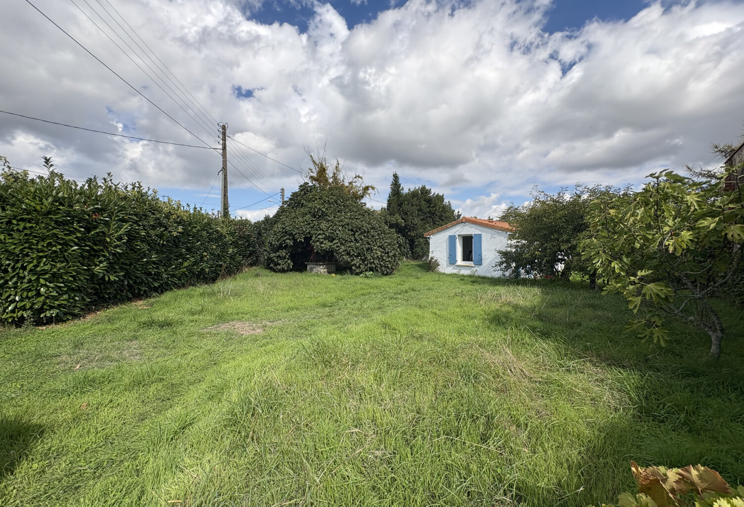 TERRAIN — photo 1