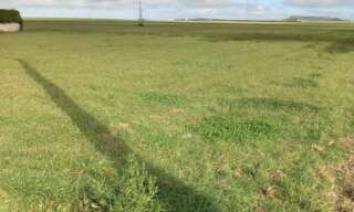 Terrain  2000 m² à vendre à Val-des-Marais (51130)